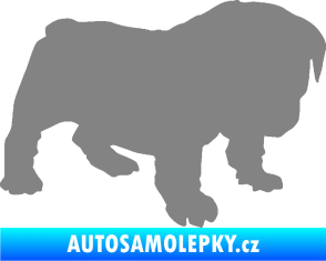Samolepka Štěňátko 004 pravá francouzský buldoček šedá
