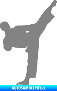 Samolepka Taekwondo 002 pravá šedá
