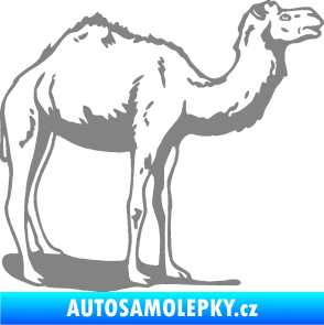 Samolepka Velbloud 001 pravá šedá