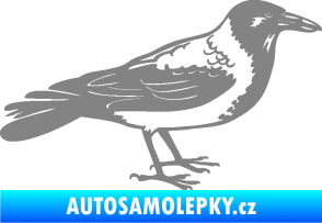 Samolepka Vrána 001 pravá šedá