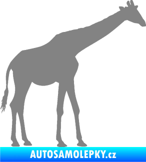 Samolepka Žirafa 002 pravá šedá