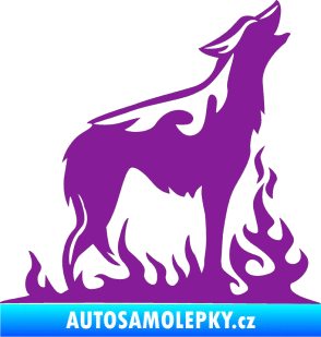 Samolepka Animal flames 066 pravá vyjící vlk fialová