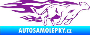 Samolepka Animal flames 084 pravá lvice fialová