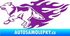 Samolepka Animal flames 090 levá vlk fialová