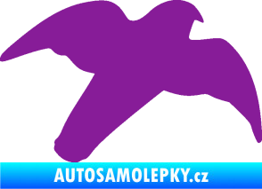 Samolepka Dravec na sklo 003 pravá fialová