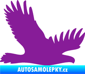 Samolepka Dravec na sklo 004 pravá fialová