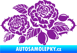 Samolepka Interiér 004 pravá růže šípková fialová