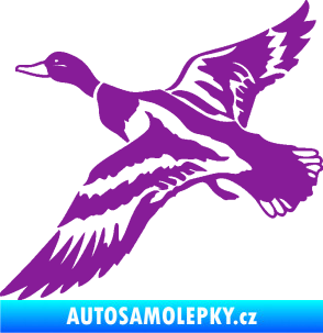 Samolepka Kachna divoká 001 levá kačer fialová