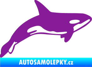 Samolepka Kosatka 001 pravá fialová