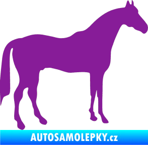 Samolepka Kůň 004 pravá fialová