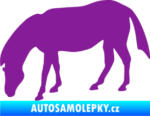 Samolepka Kůň 006 levá na pastvě fialová