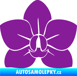 Samolepka Květina dekor 023 orchidej květ fialová