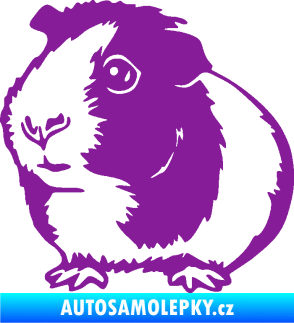 Samolepka Morče 003 levá fialová