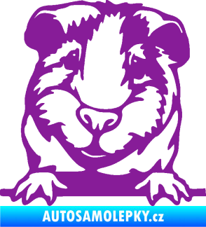 Samolepka Morče 004 levá fialová