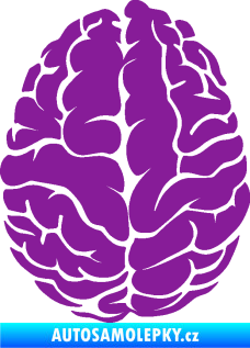 Samolepka Mozek 001 levá fialová
