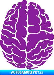 Samolepka Mozek 001 pravá fialová