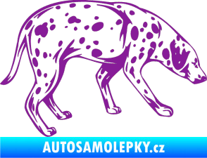 Samolepka Pes 001 pravá Dalmatin fialová
