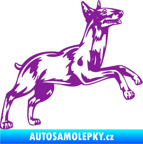 Samolepka Pes 015 pravá Bulteriér fialová