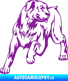 Samolepka Pes 020 levá fialová