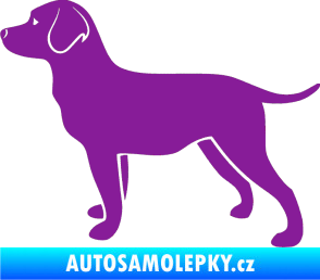 Samolepka Pes 062 levá Labrador fialová