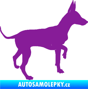 Samolepka Pes 093 pravá Pražský krysařík fialová