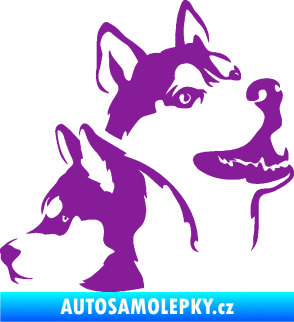 Samolepka Pes 117 pravá husky fialová