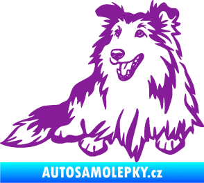 Samolepka Pes 162 levá sheltie fialová
