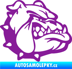 Samolepka Pes 174 pravá rozzuřený buldok fialová