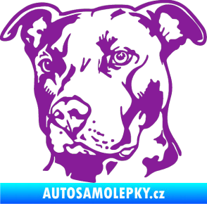 Samolepka Pes 198 pitbull levá fialová