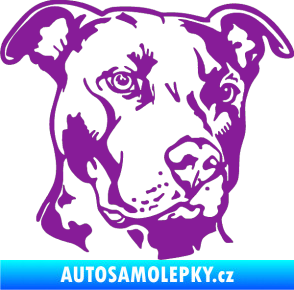 Samolepka Pes 198 pitbull pravá fialová