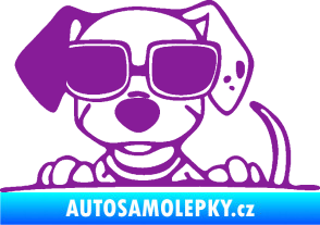 Samolepka Pes s brýlemi 101 levá v autě fialová