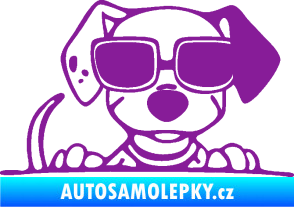 Samolepka Pes s brýlemi 101 pravá v autě fialová