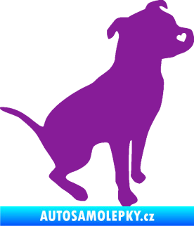 Samolepka Pitbull 005 pravá fialová