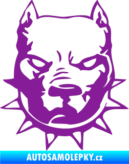 Samolepka Pitbull hlava 002 pravá fialová