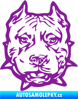 Samolepka Pitbull hlava 003 pravá fialová