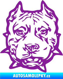 Samolepka Pitbull hlava 003 levá fialová