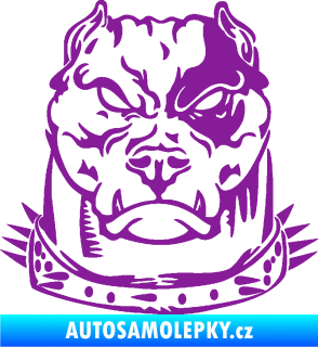Samolepka Pitbull hlava 005 levá fialová
