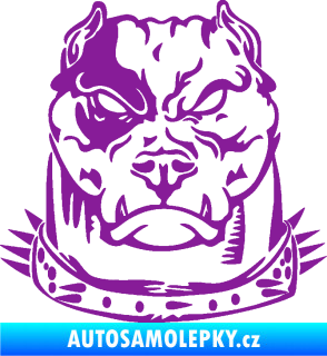 Samolepka Pitbull hlava 005 pravá fialová