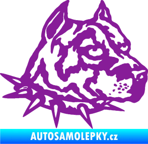 Samolepka Pitbull hlava 006 pravá fialová