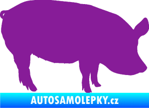 Samolepka Prase 001 pravá fialová