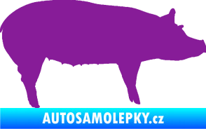 Samolepka Prase 002 pravá fialová