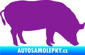 Samolepka Prase 004 pravá fialová