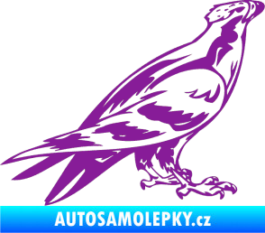 Samolepka Predators 006 pravá fialová