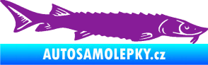 Samolepka Ryba 020 pravá jeseter fialová