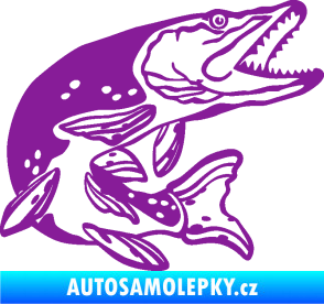 Samolepka Štika 002 pravá fialová