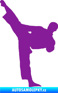 Samolepka Taekwondo 002 levá fialová
