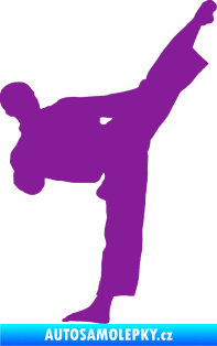 Samolepka Taekwondo 002 pravá fialová