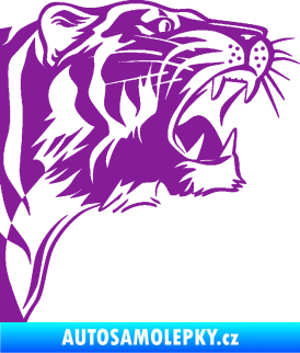 Samolepka Tygr 002 pravá fialová