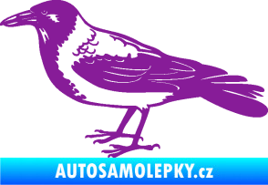 Samolepka Vrána 001 levá fialová