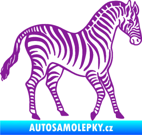 Samolepka Zebra 002 pravá fialová